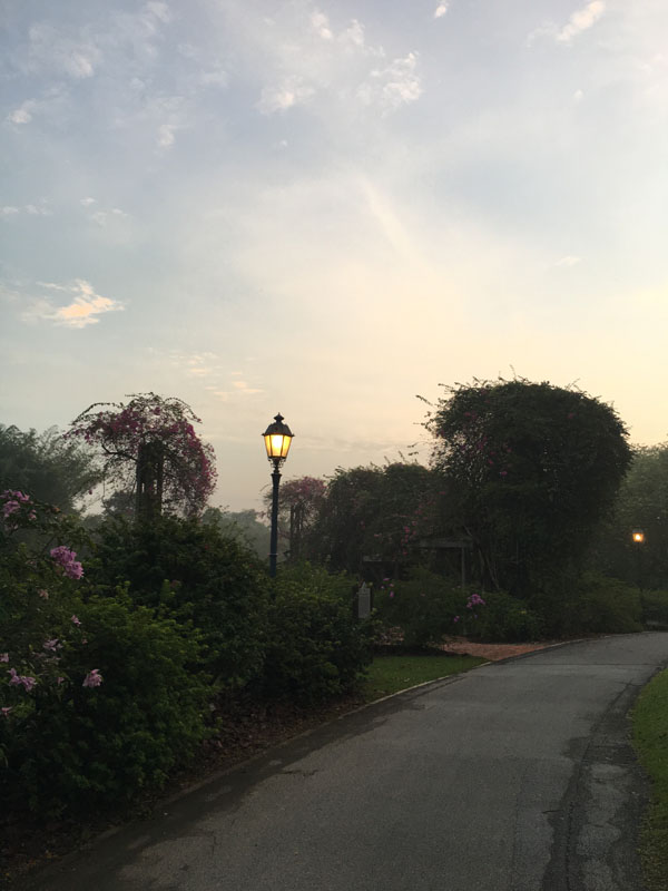 f:id:yahori_tsukasa:20170418205311j:plain