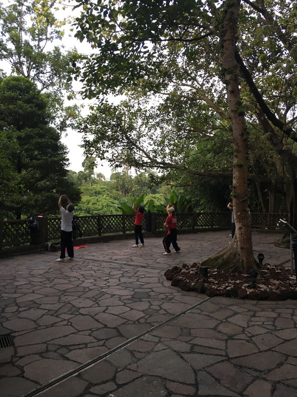 f:id:yahori_tsukasa:20170418205328j:plain