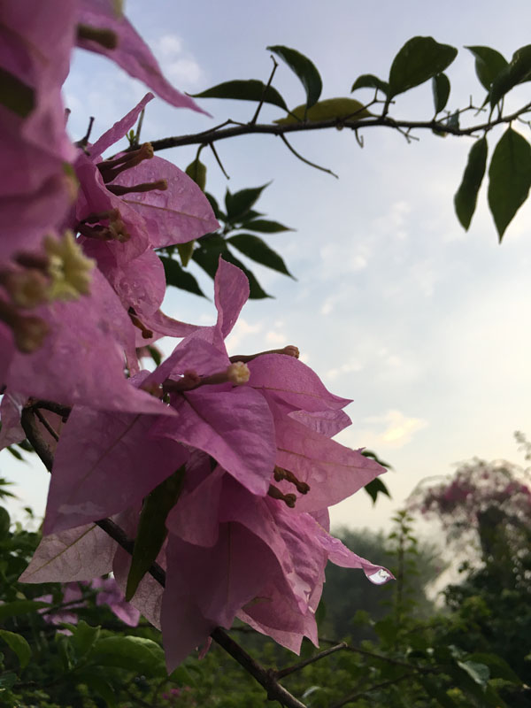 f:id:yahori_tsukasa:20170418205343j:plain