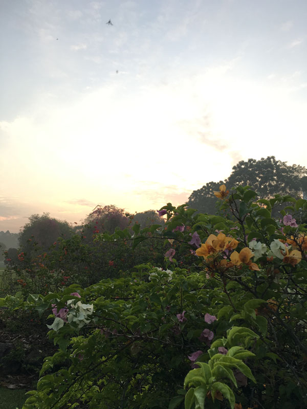 f:id:yahori_tsukasa:20170418205442j:plain