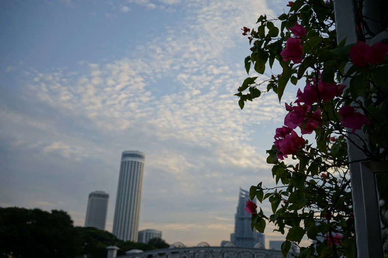 f:id:yahori_tsukasa:20170419101453j:plain