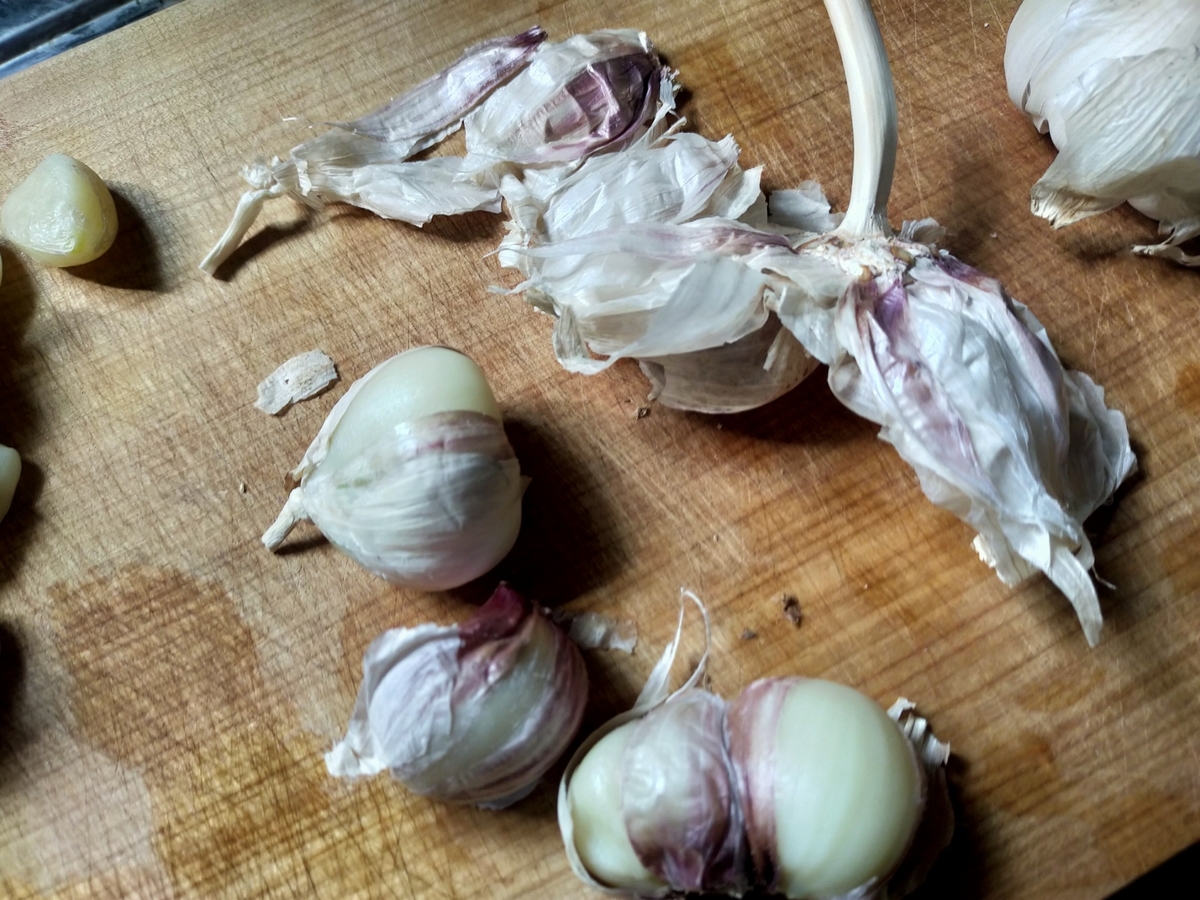 記憶喪失の時に備えて にんにくの皮のむき方を書き残しておく 脳の中のマリー