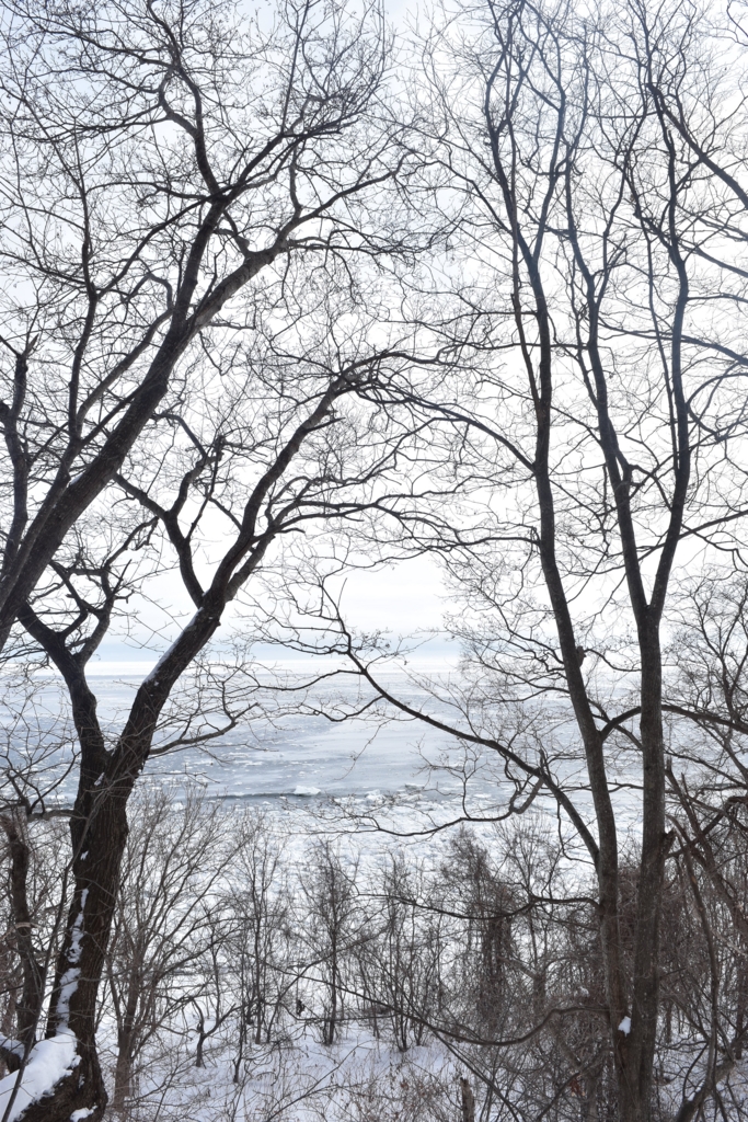 f:id:yajymar:20170220123112j:plain