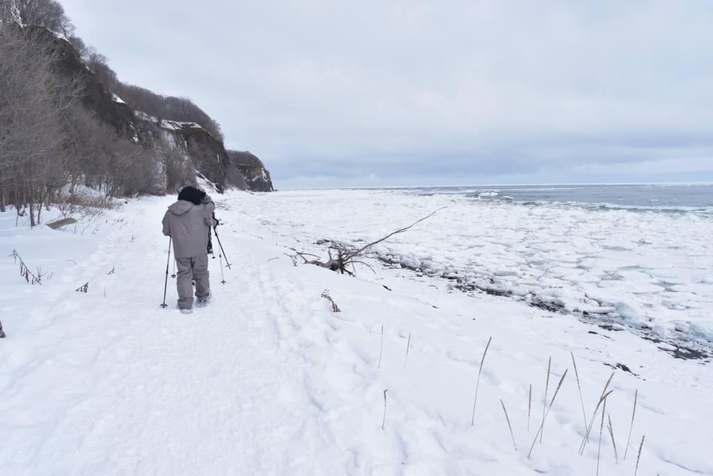 f:id:yajymar:20170220142723j:plain