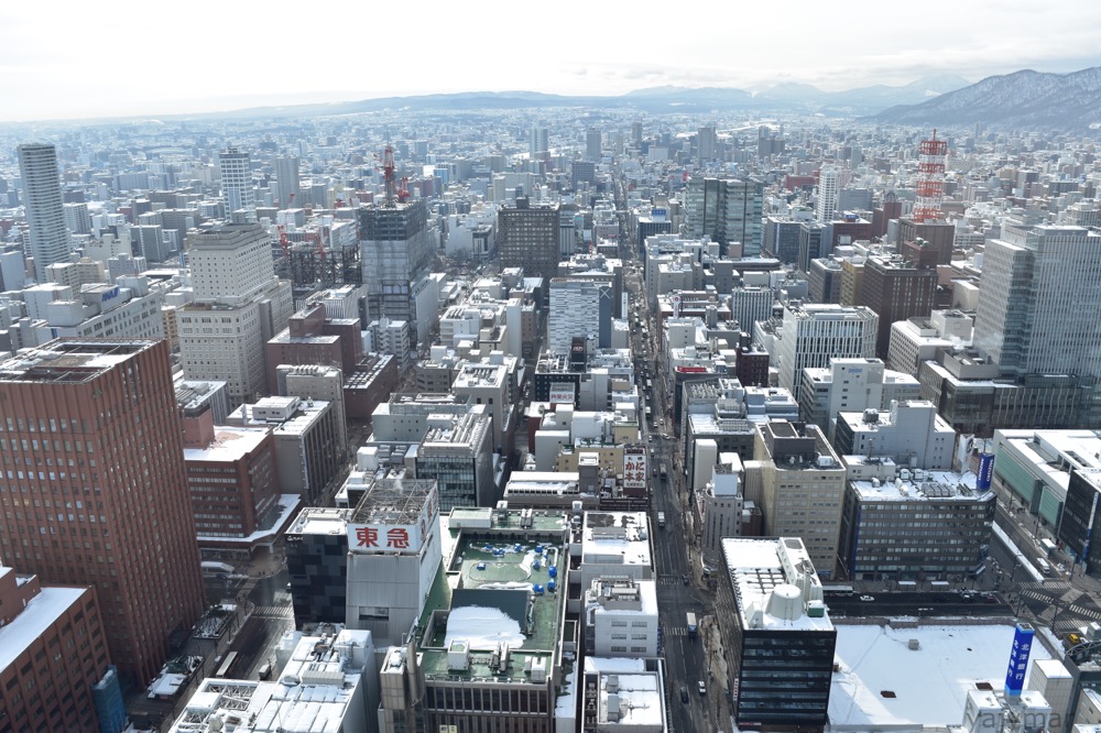 f:id:yajymar:20170306222945j:plain