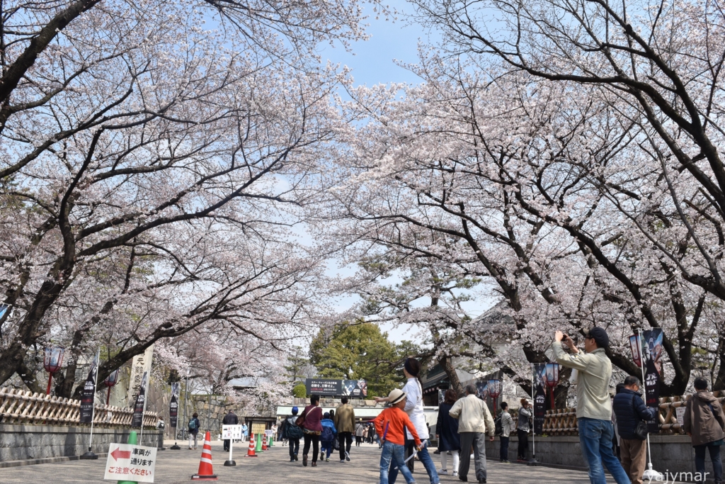 f:id:yajymar:20170405211349j:plain