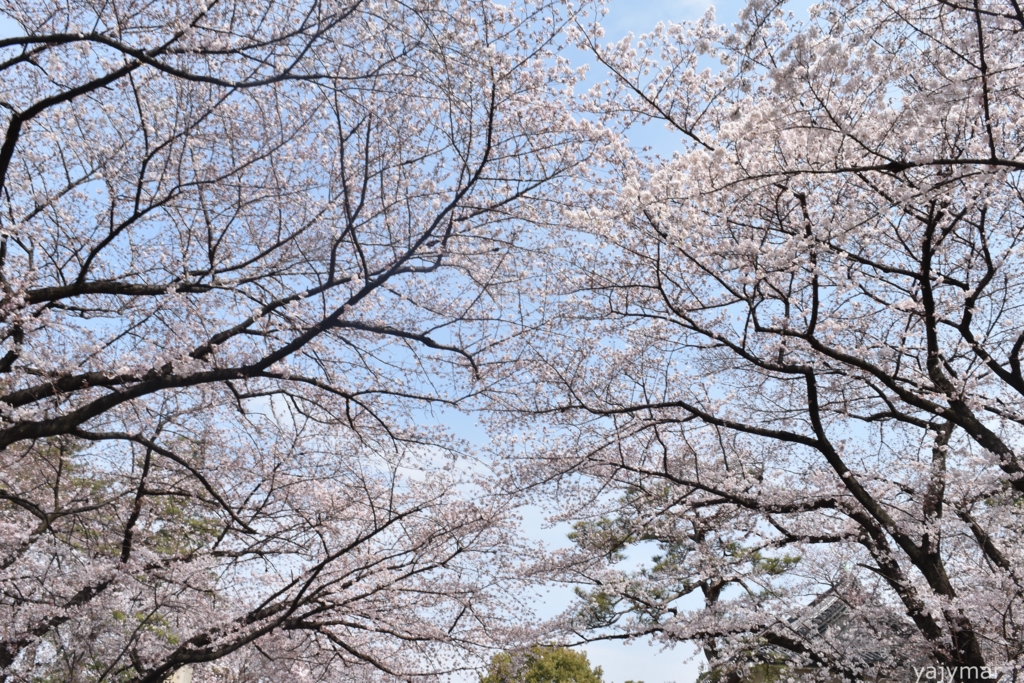 f:id:yajymar:20170405211357j:plain