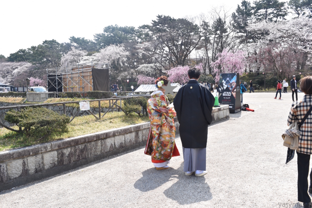 f:id:yajymar:20170405224935j:plain