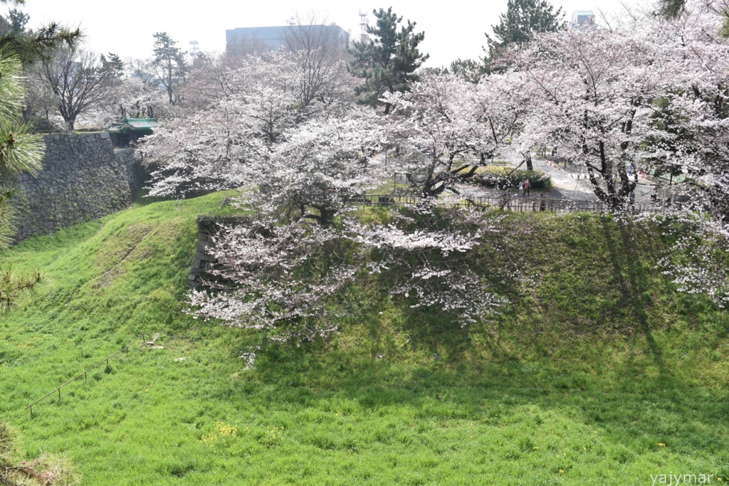 f:id:yajymar:20170405224941j:plain