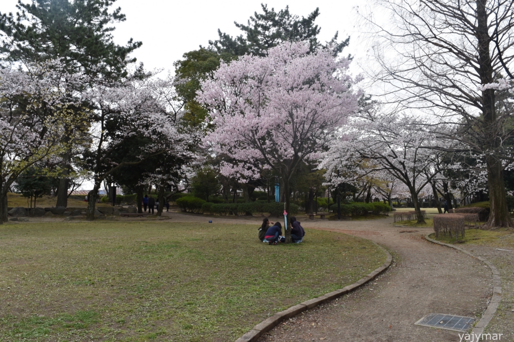 f:id:yajymar:20170406211127j:plain f:id:yajymar:20170406211127j:plain