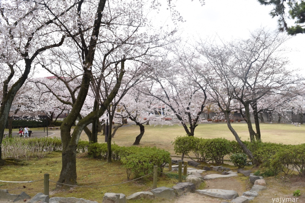 f:id:yajymar:20170406211139j:plain f:id:yajymar:20170406211139j:plain