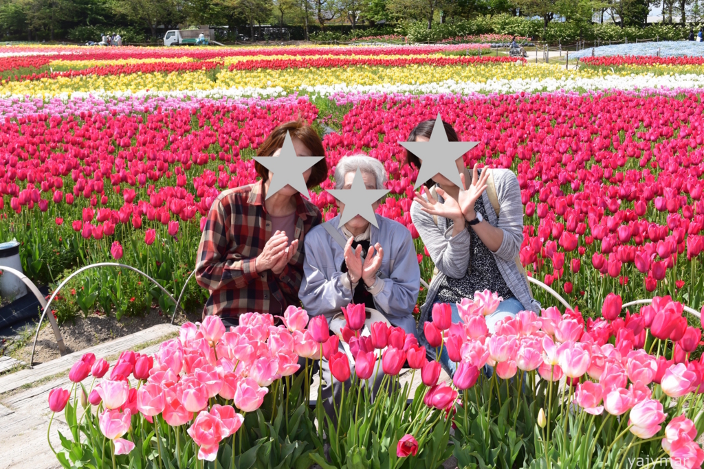 f:id:yajymar:20170425215041j:plain f:id:yajymar:20170425215041j:plain