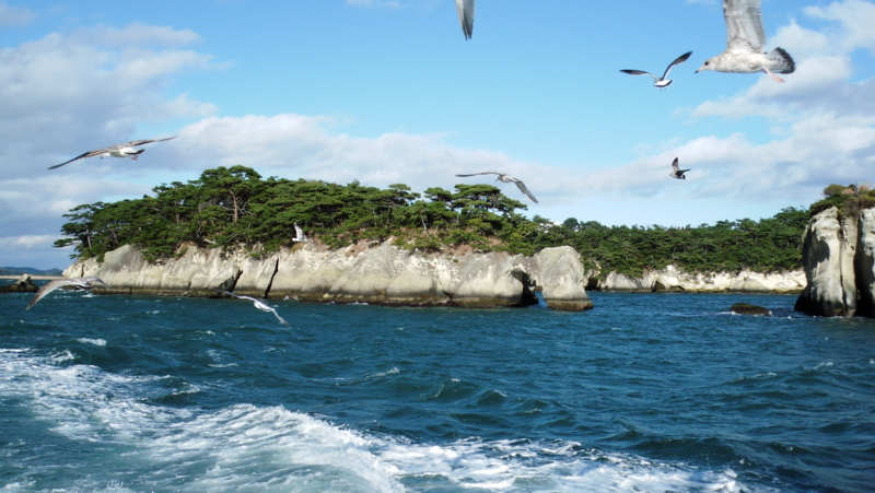f:id:yakaita:20101212131758j:image
