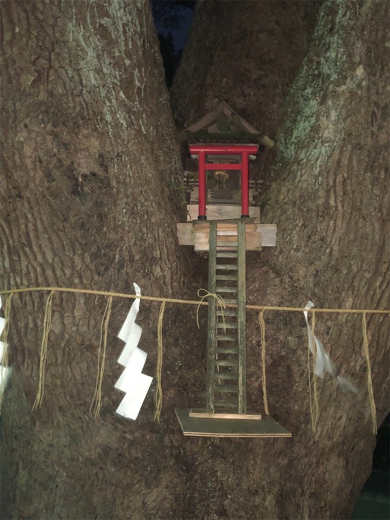 f:id:yakankunocha:20210728145002j:image f:id:yakankunocha:20210728145002j:image