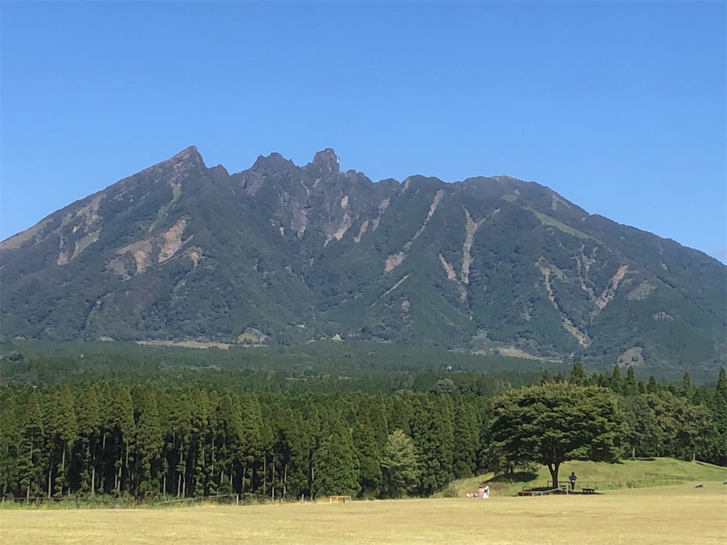 f:id:yakankunocha:20210728145020j:image f:id:yakankunocha:20210728145020j:image