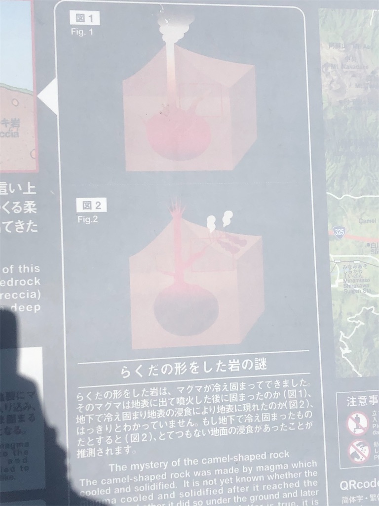 f:id:yakankunocha:20210728145030j:image f:id:yakankunocha:20210728145030j:image