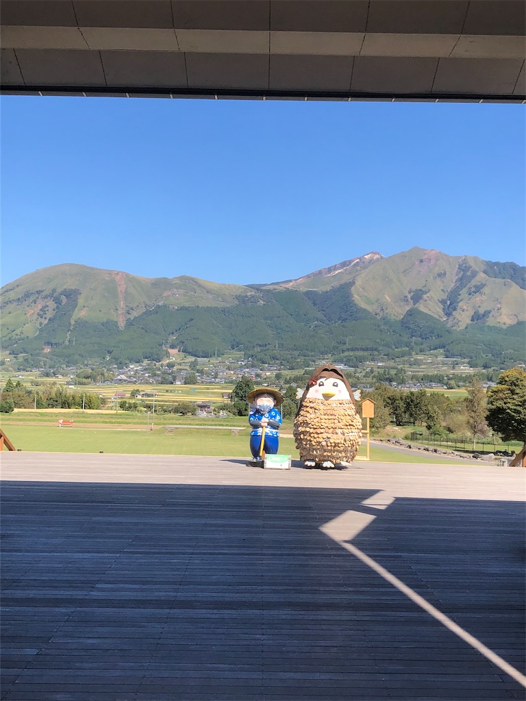 f:id:yakankunocha:20210728145049j:image f:id:yakankunocha:20210728145049j:image