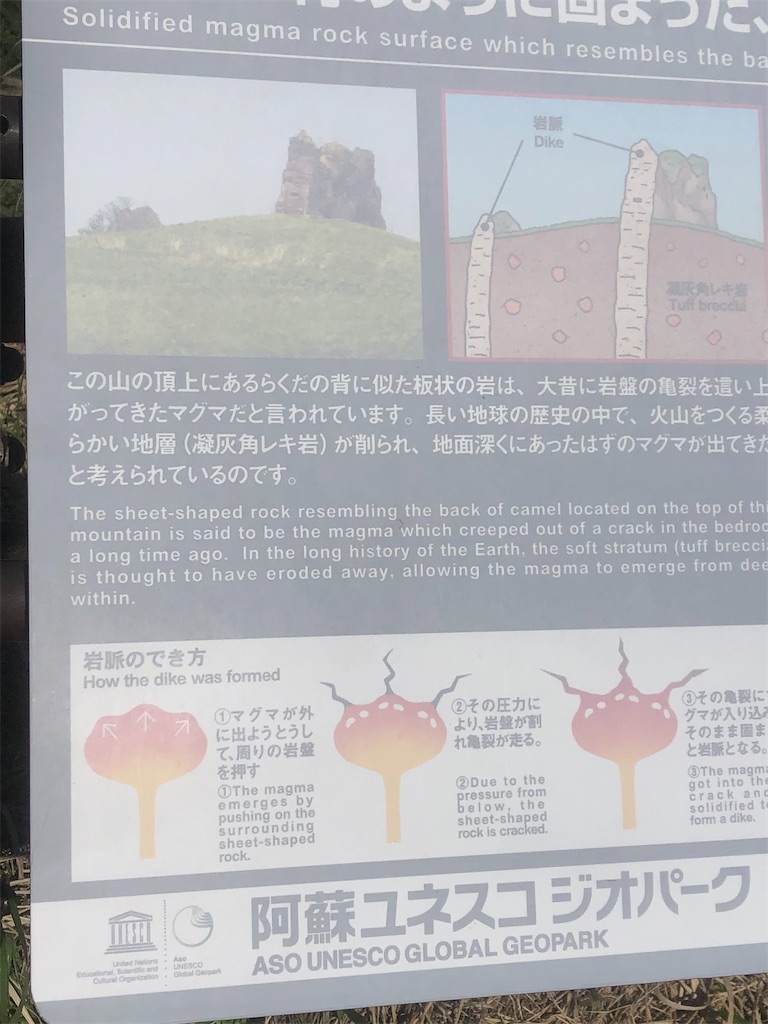 f:id:yakankunocha:20210728145100j:image f:id:yakankunocha:20210728145100j:image