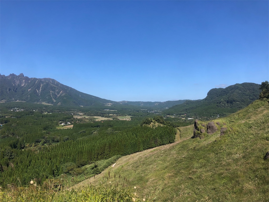 f:id:yakankunocha:20210728145121j:image f:id:yakankunocha:20210728145121j:image