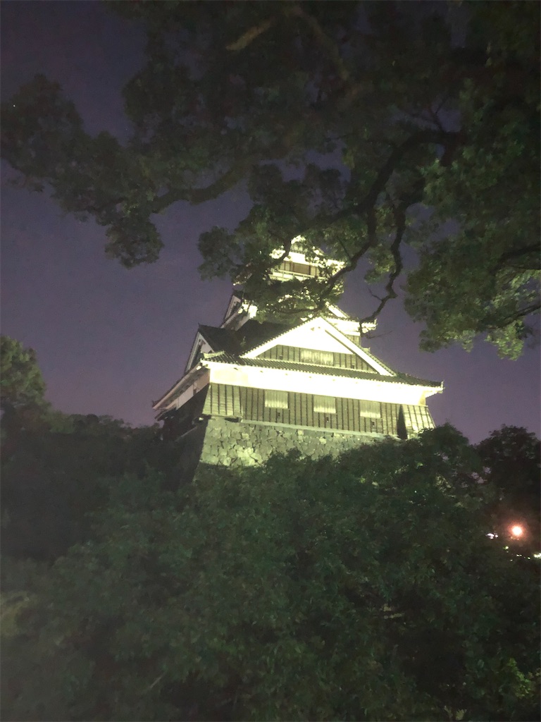 f:id:yakankunocha:20210728145125j:image f:id:yakankunocha:20210728145125j:image