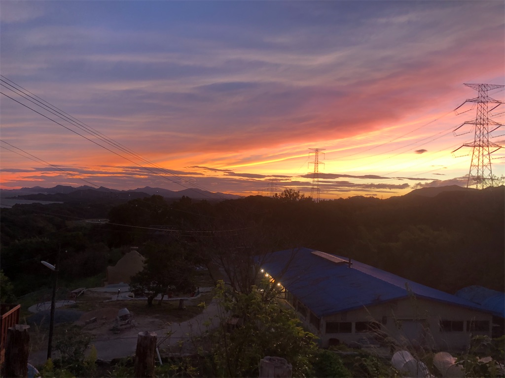 f:id:yakankunocha:20210728174838j:image f:id:yakankunocha:20210728174838j:image