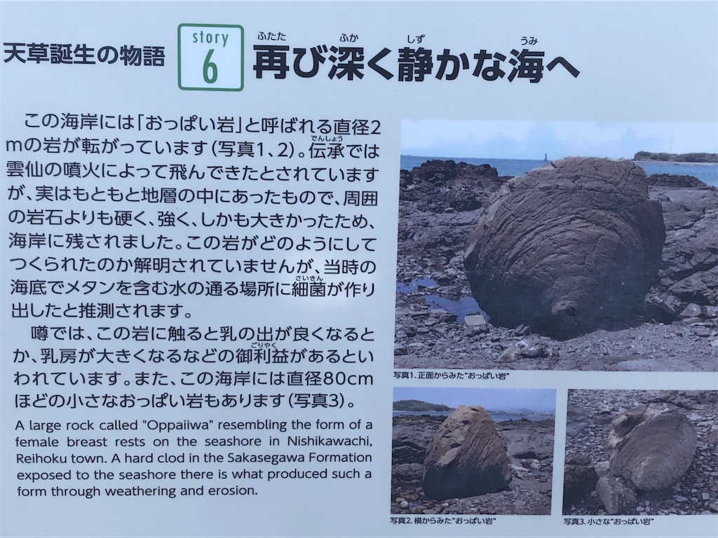 f:id:yakankunocha:20210728174856j:image f:id:yakankunocha:20210728174856j:image