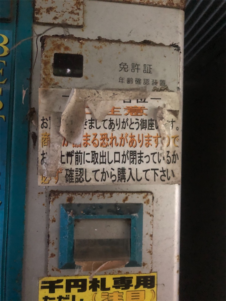 f:id:yakankunocha:20210728174903j:image f:id:yakankunocha:20210728174903j:image