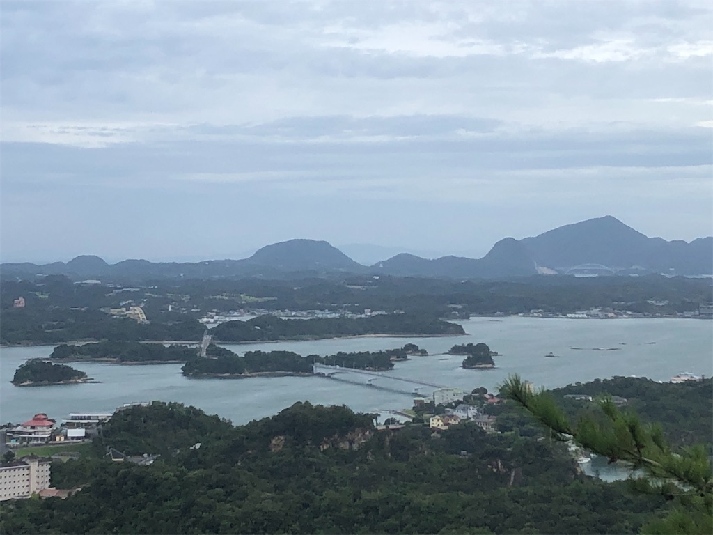 f:id:yakankunocha:20210728175846j:image f:id:yakankunocha:20210728175846j:image