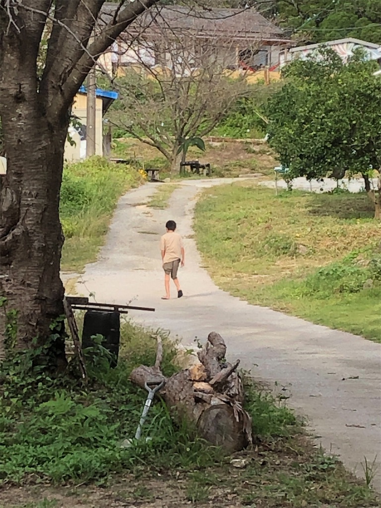 f:id:yakankunocha:20210728175854j:image f:id:yakankunocha:20210728175854j:image