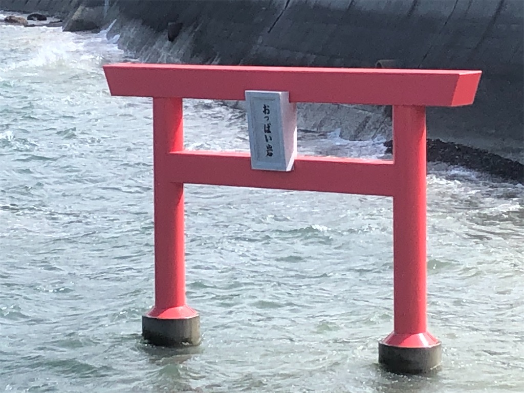 f:id:yakankunocha:20210728192121j:image f:id:yakankunocha:20210728192121j:image