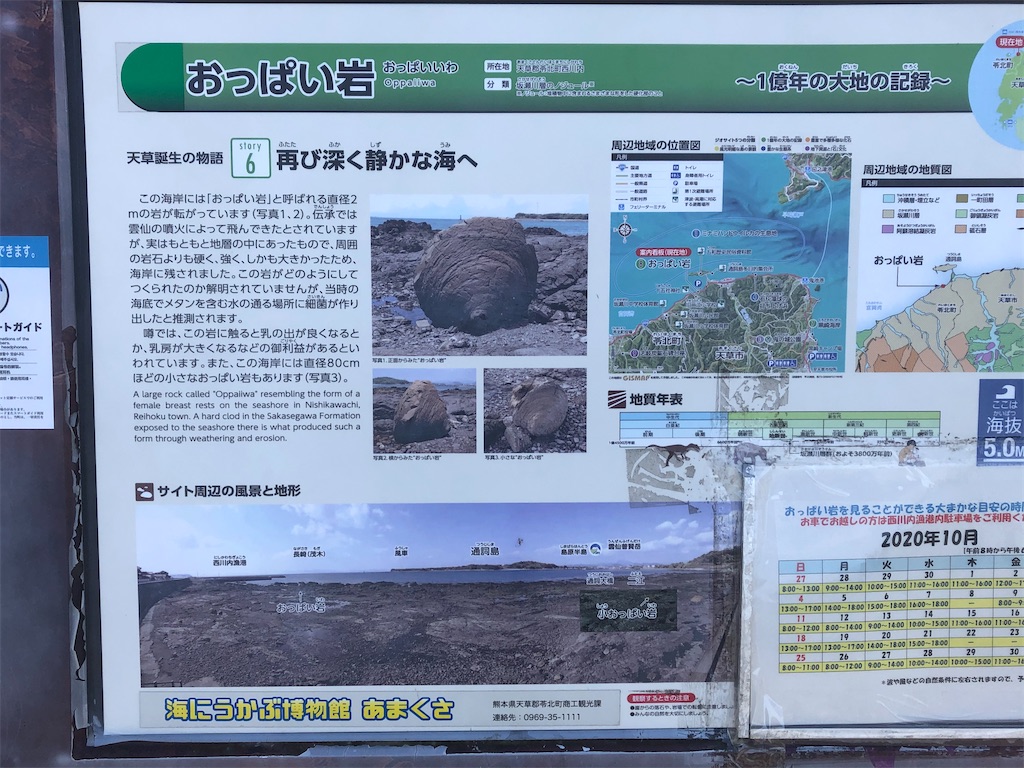f:id:yakankunocha:20210728192226j:image f:id:yakankunocha:20210728192226j:image