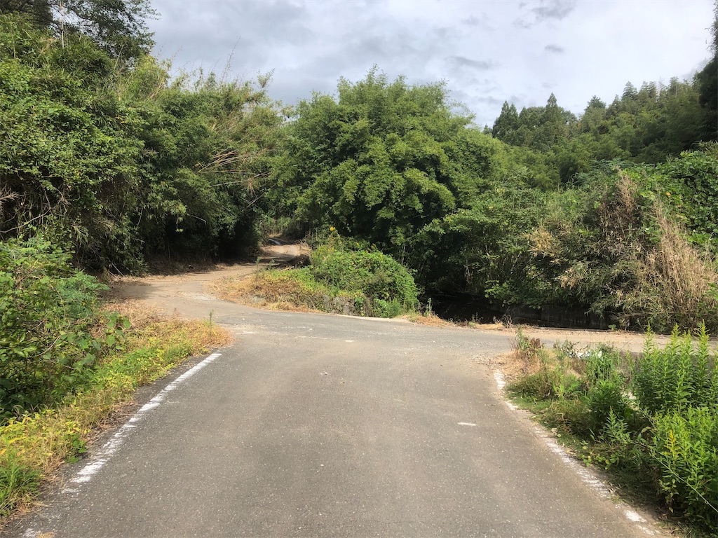 f:id:yakankunocha:20210728192252j:image f:id:yakankunocha:20210728192252j:image