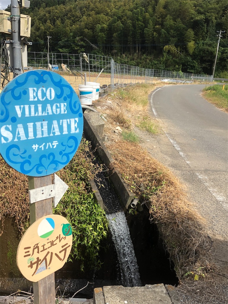 f:id:yakankunocha:20210728192259j:image f:id:yakankunocha:20210728192259j:image