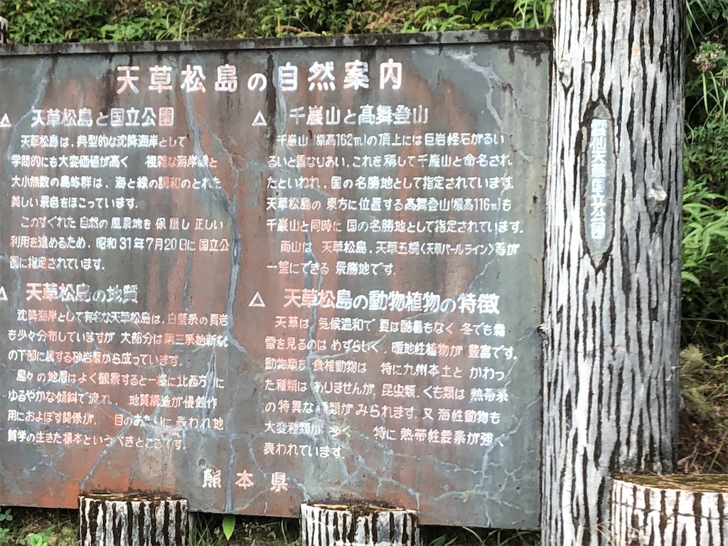 f:id:yakankunocha:20210728192317j:image f:id:yakankunocha:20210728192317j:image
