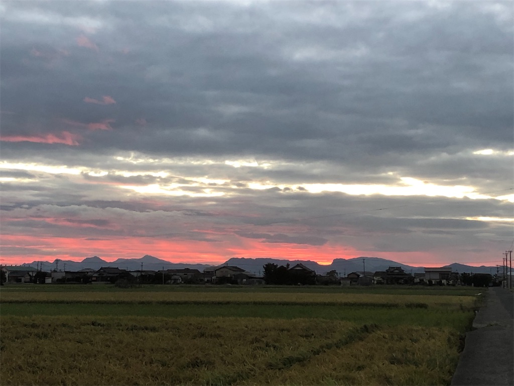 f:id:yakankunocha:20210729155707j:image f:id:yakankunocha:20210729155707j:image