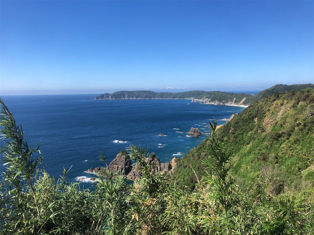f:id:yakankunocha:20210729170219j:image f:id:yakankunocha:20210729170219j:image