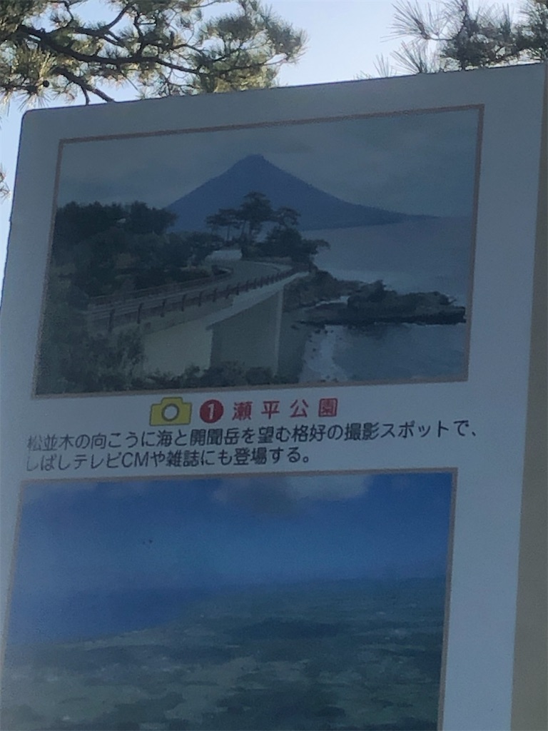 f:id:yakankunocha:20210729170356j:image f:id:yakankunocha:20210729170356j:image