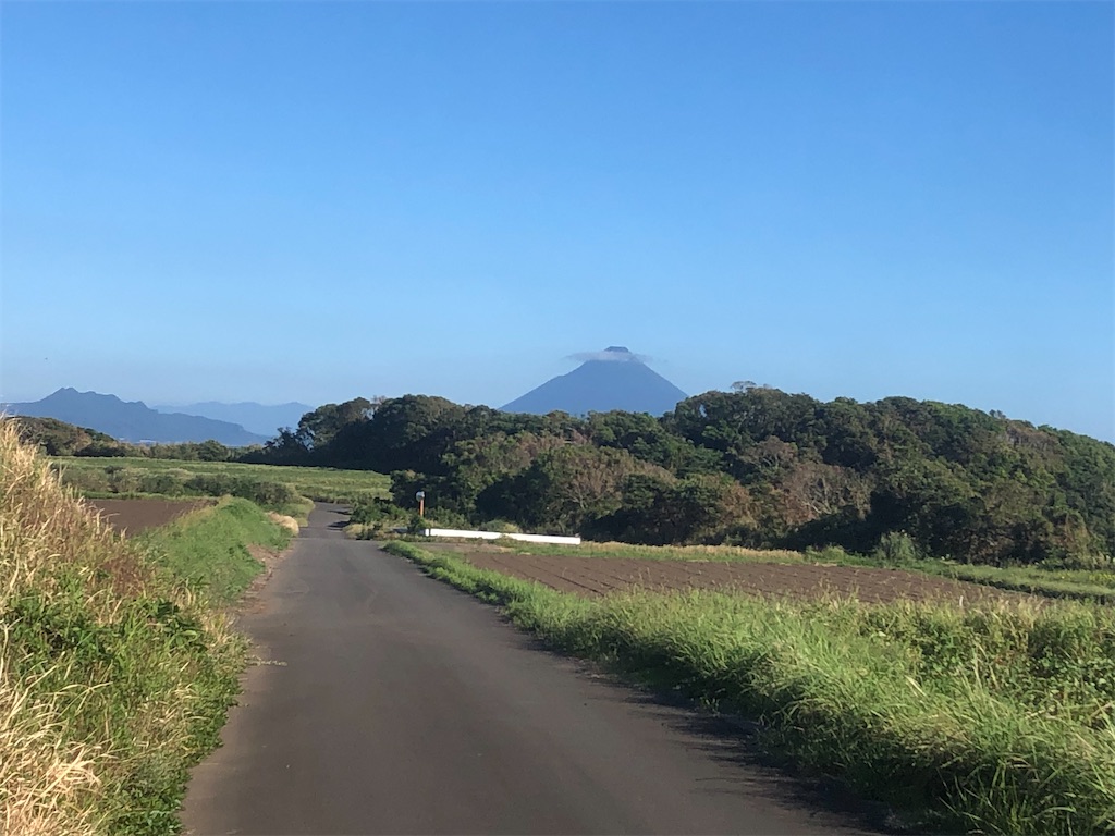f:id:yakankunocha:20210729170420j:image f:id:yakankunocha:20210729170420j:image