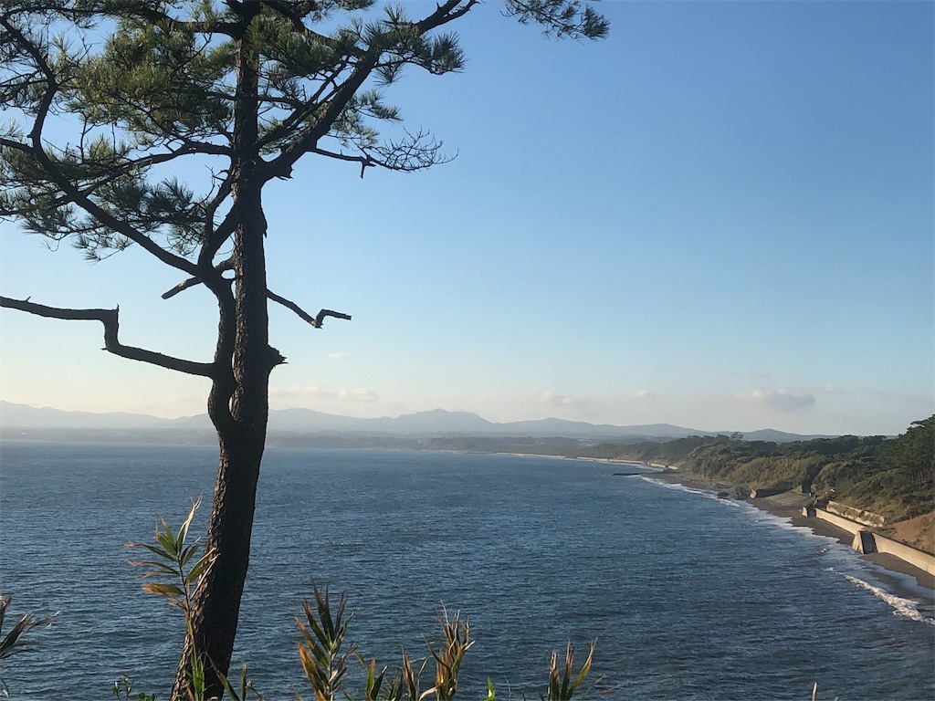f:id:yakankunocha:20210729170837j:image f:id:yakankunocha:20210729170837j:image