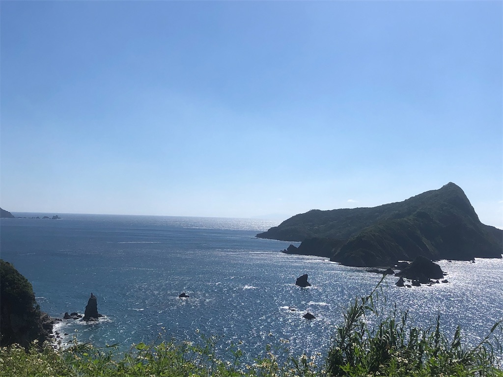f:id:yakankunocha:20210729170857j:image f:id:yakankunocha:20210729170857j:image