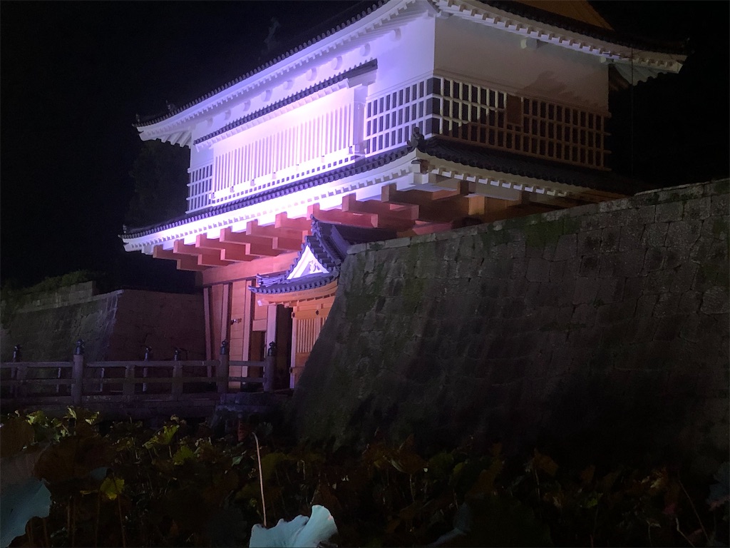f:id:yakankunocha:20210730025426j:image f:id:yakankunocha:20210730025426j:image