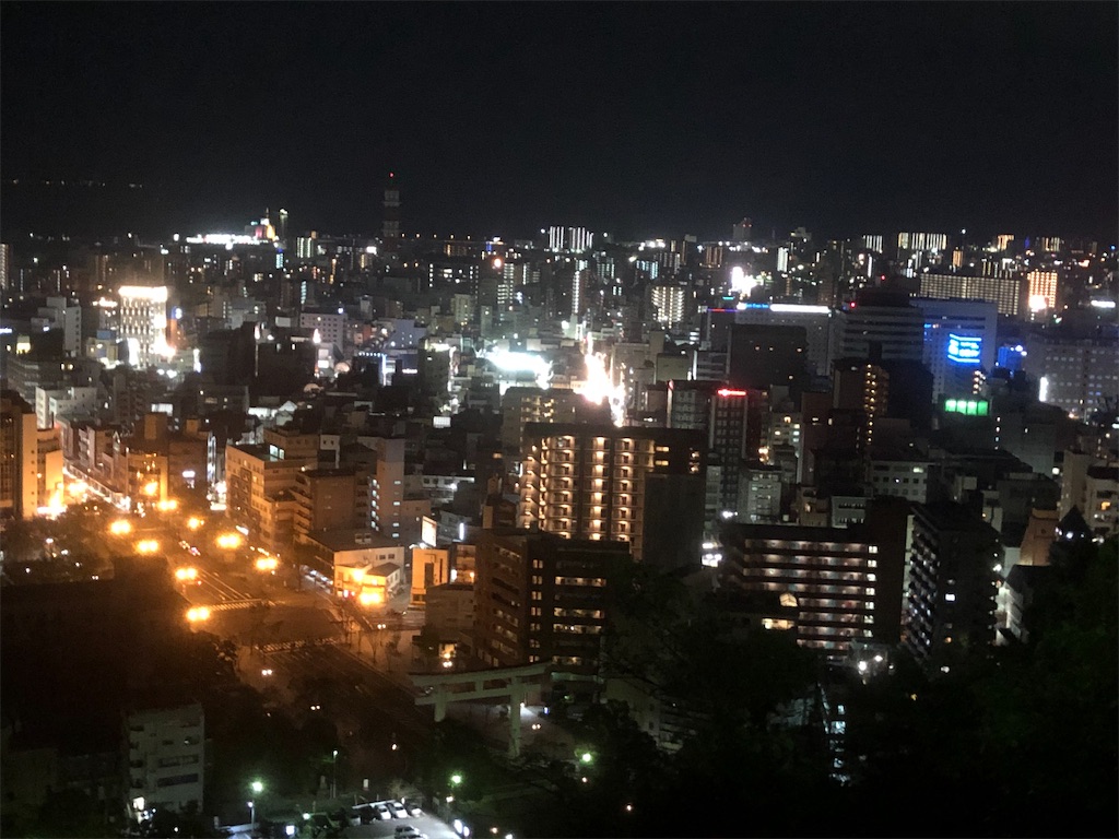 f:id:yakankunocha:20210730025440j:image f:id:yakankunocha:20210730025440j:image