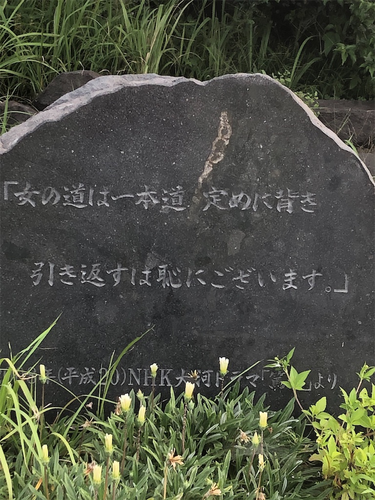 f:id:yakankunocha:20210730025448j:image f:id:yakankunocha:20210730025448j:image