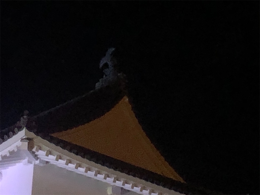 f:id:yakankunocha:20210730025555j:image f:id:yakankunocha:20210730025555j:image