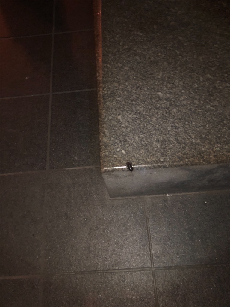 f:id:yakankunocha:20210730100429j:image f:id:yakankunocha:20210730100429j:image