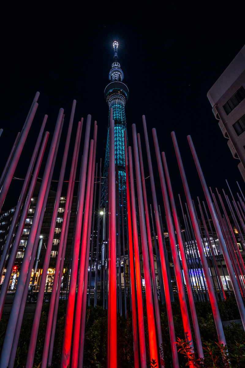 f:id:yakei17:20200224192505j:plain