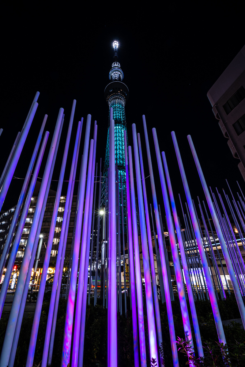 f:id:yakei17:20200224192511j:plain