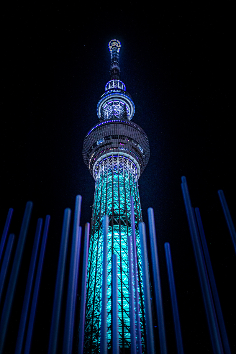 f:id:yakei17:20200224192526j:plain