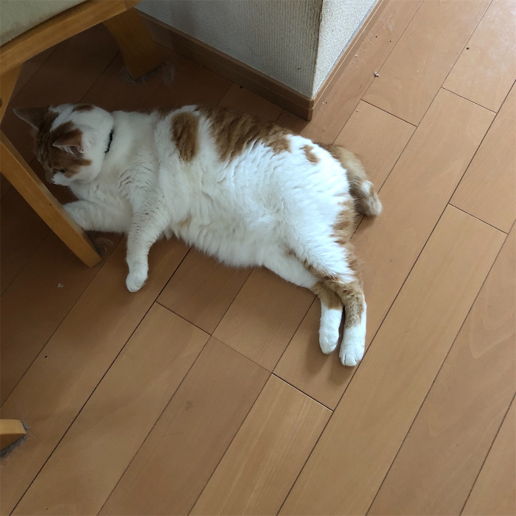 f:id:yakeimo:20210808180235j:image f:id:yakeimo:20210808180235j:image