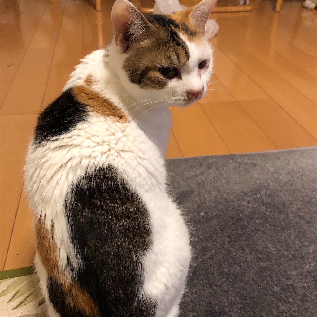 f:id:yakeimo:20210815193355j:image f:id:yakeimo:20210815193355j:image